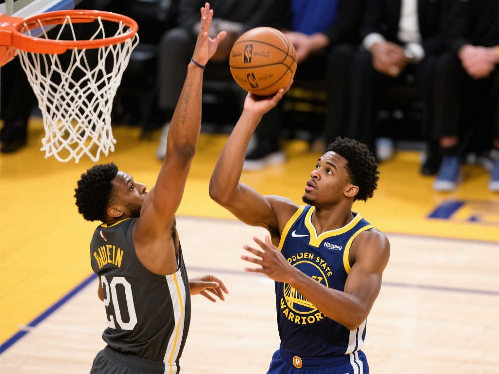 内加尔在预 内加尔在预