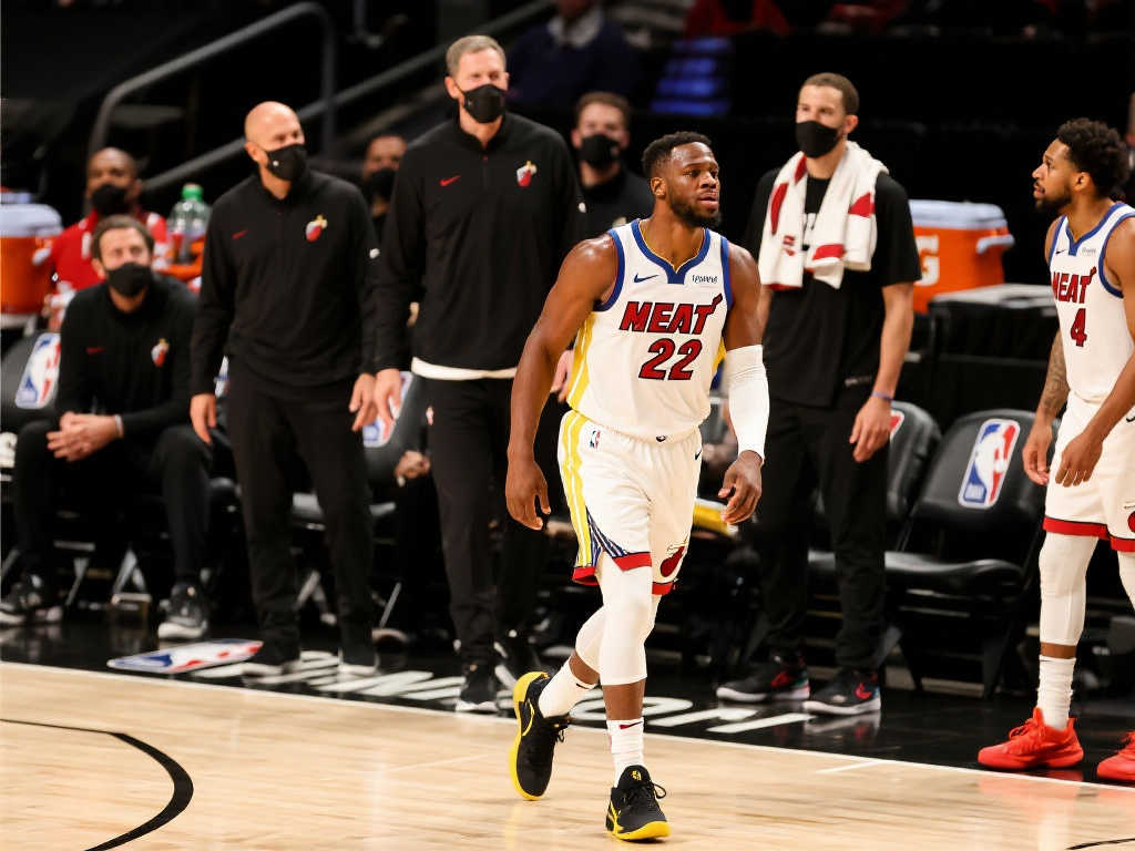 新了由前辈 新了由前辈