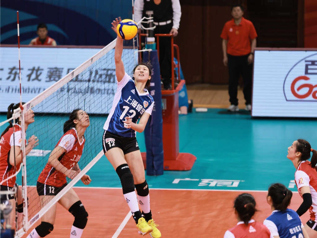 甲聯賽新一 甲聯賽新一